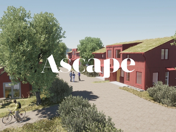Ascape